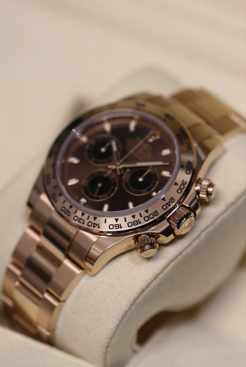 Rolex Everose Daytona - Chocolate Dial - 116505
