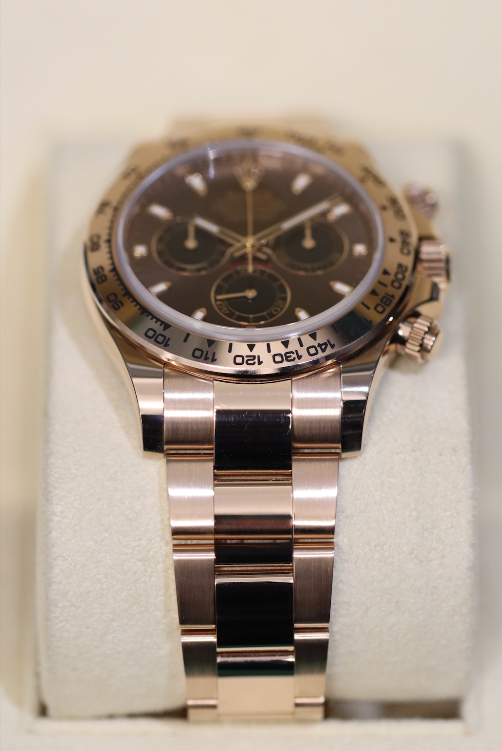 Rolex Everose Daytona - Chocolate Dial - 116505
