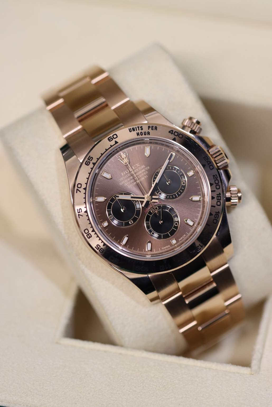 Rolex Everose Daytona - Chocolate Dial - 116505