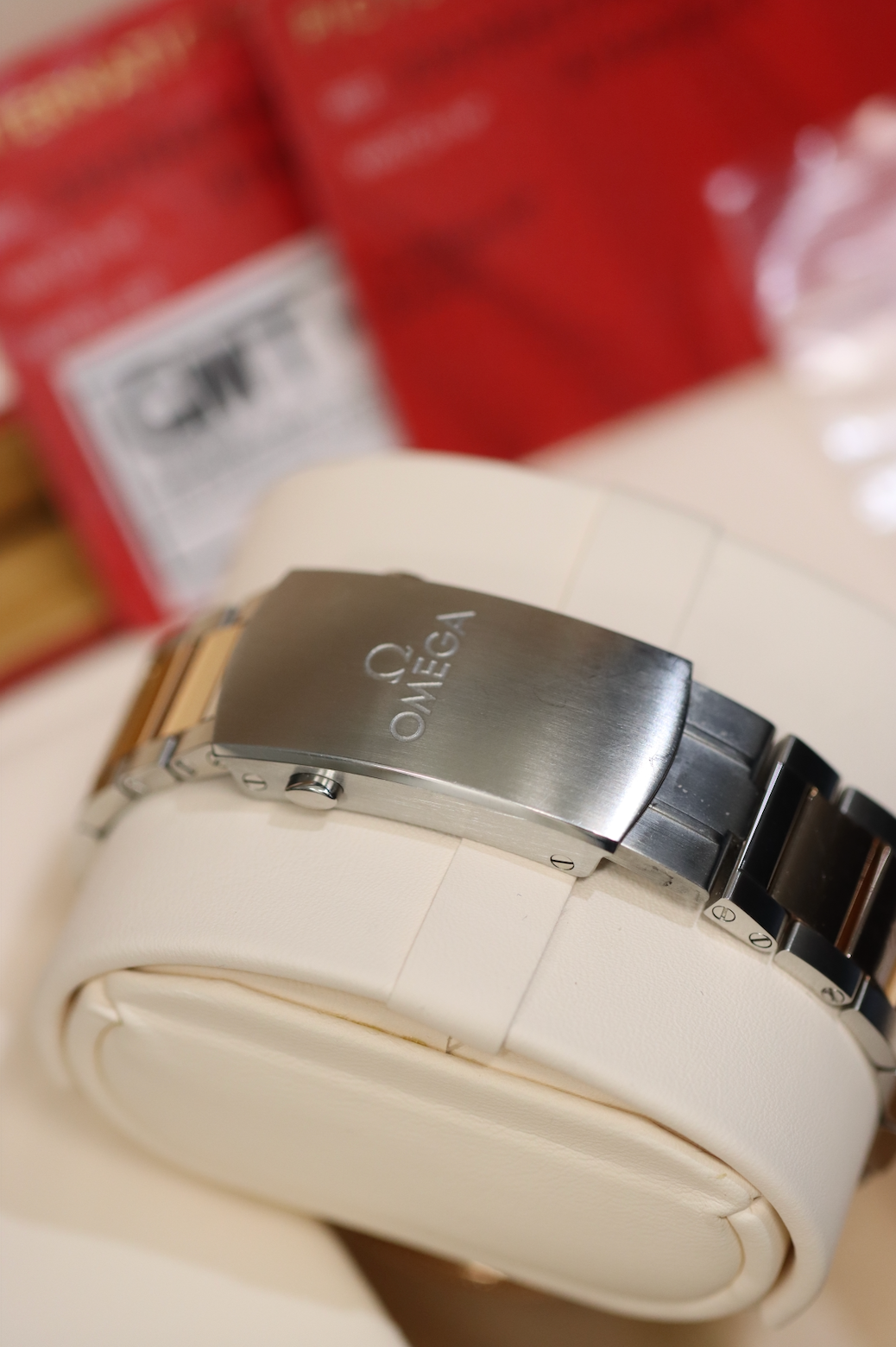 Omega Seamaster 300 - Ceragold & Steel